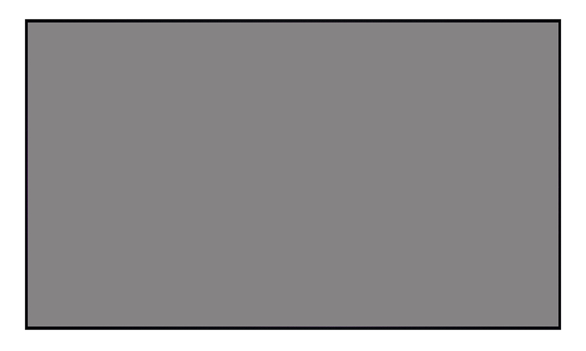 [LCTB-100201] Экран Lumien Cinema Thin Bezel